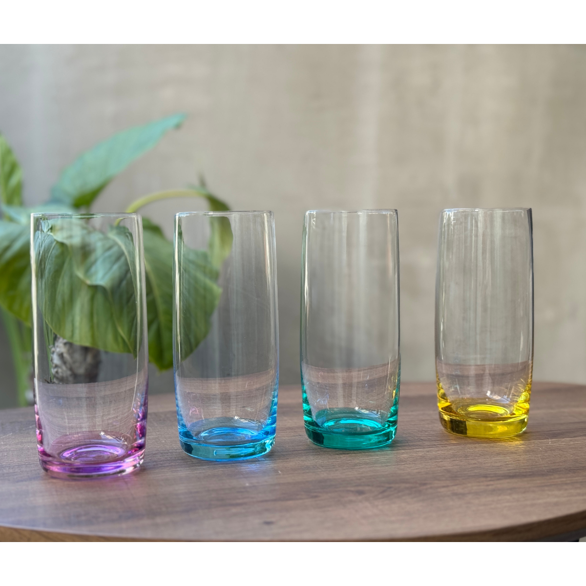 Juego de 4 Vasos Gala