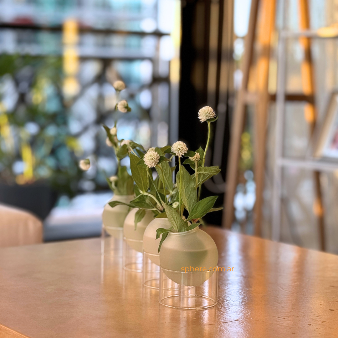 Juego de 2 Floreros de vidrio Astro Bloom