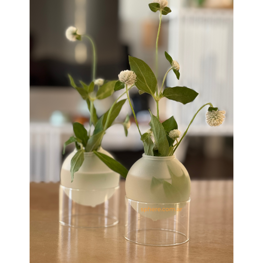 Juego de 2 Floreros de vidrio Astro Bloom